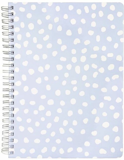 Mini Notebook, Light Blue Vintage Dots