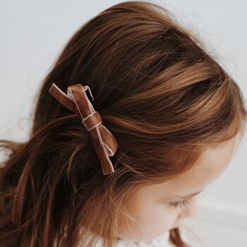 Set barrettes caramel 12