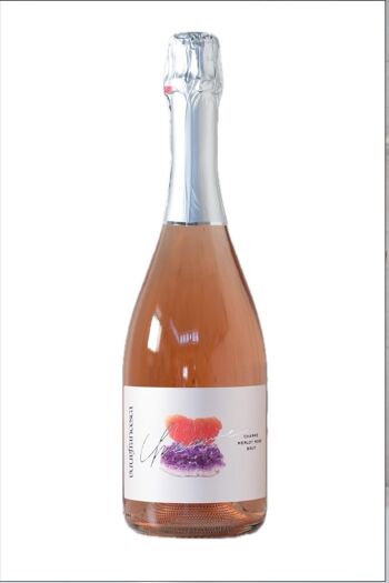 Vin mousseux biologique "Charme" issu du cépage Merlot Brut 0,75lt 1