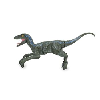Velociraptor 19