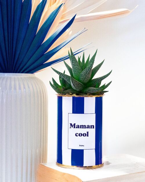 Cactus - Maman Cool