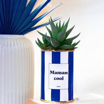 Cactus - Maman Cool