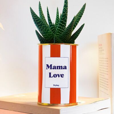 Cactus - Mama Love