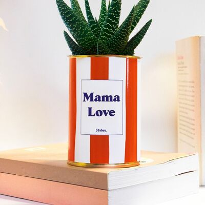 Cactus - Mamá Amor