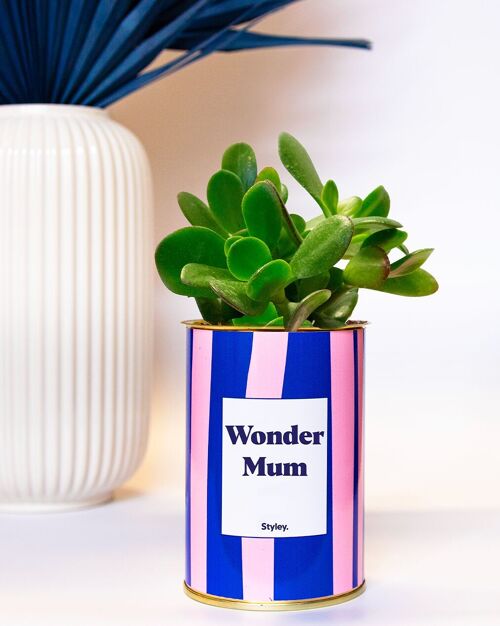 Plante - Wonder Mum