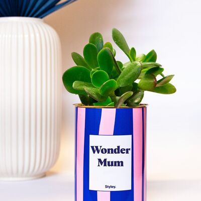 Plante - Wonder Mum