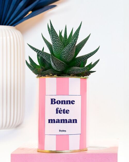Plante - Bonne fête Maman