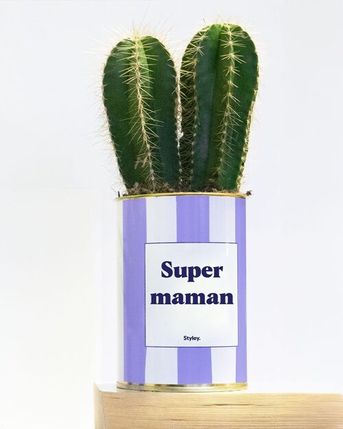 Plante en pot - Super Maman