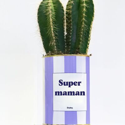 Plante en pot - Super Maman