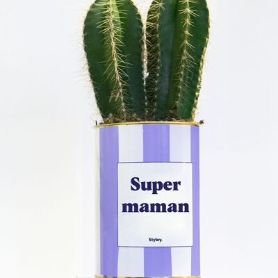 Pianta in vaso - Super Maman