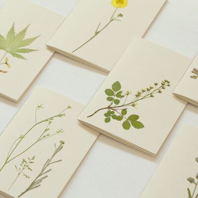 Lot de 10 carnets herbiers A6 • véritables plantes pressées • tarif dégressif