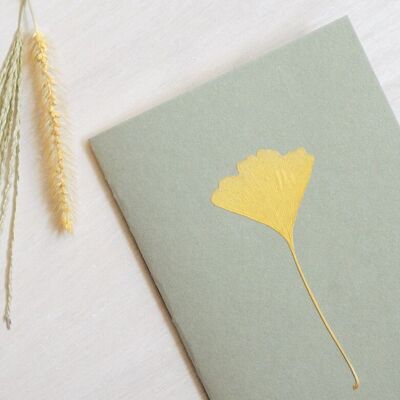 A6 herbarium notebook • Ginkgo biloba autumn (leaf)