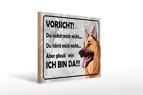 Holzschild Spruch 40 x 30cm Vorsicht Hund siehst mich nicht Schild