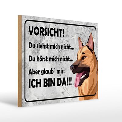 Wooden sign saying 40 x 30cm Be careful dog can't see me sign