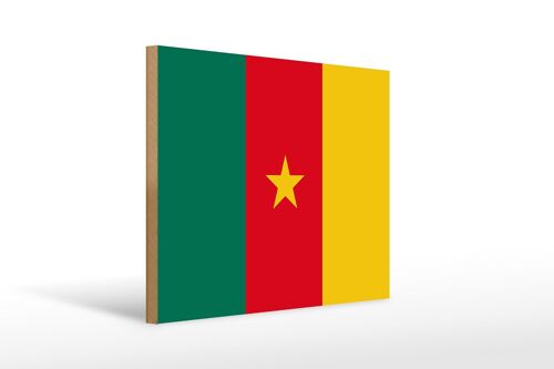 Holzschild Flagge Kameruns 40x30cm Flag of Cameroon Deko Schild