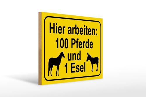 Holzschild Hinweis 40x30cm arbeiten 100 Pferde und 1 Esel Schild