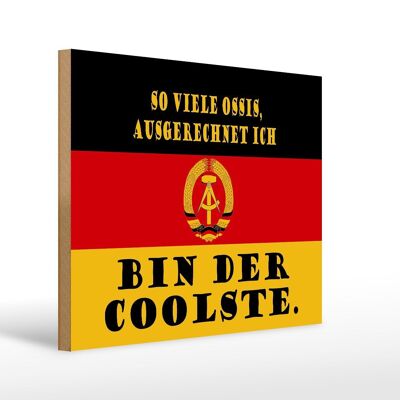 Holzschild Spruch 40x30cm so viele Ossis bin der coolste Schild