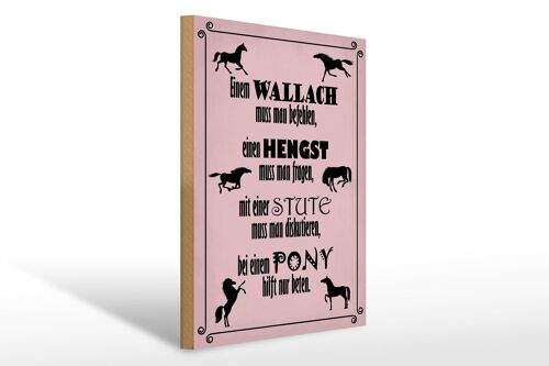 Holzschild Spruch 30x40cm Pferde Wallah Hengst Pony Stute Schild