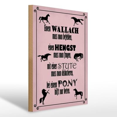 Holzschild Spruch 30x40cm Pferde Wallah Hengst Pony Stute Schild