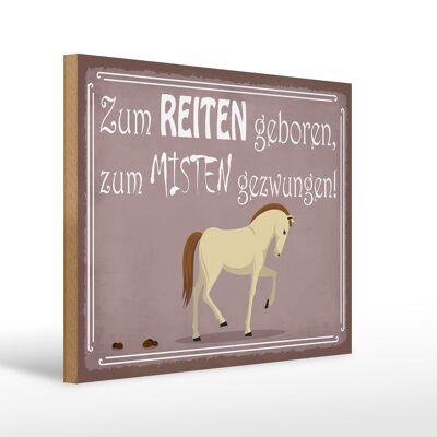 Holzschild Spruch 40x30cm zum Reiten geboren Pferd Deko Schild