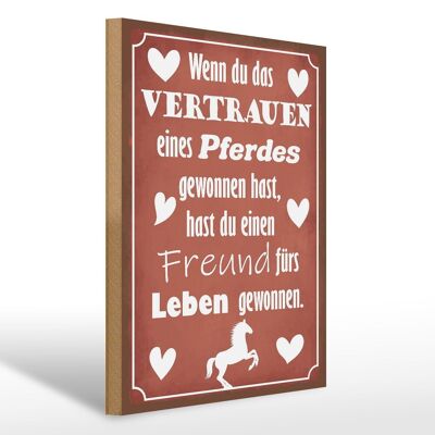 Holzschild Spruch 30x40cm Vertrauen eines Pferdes Freund Schild