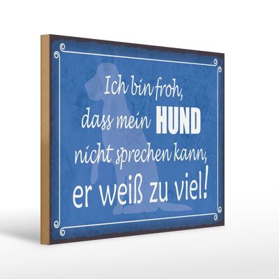 Holzschild Spruch 40x30cm froh mein Hund nicht sprechen Deko Schild