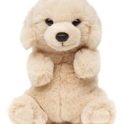 Labrador, assis - Style Kawaii - 17 cm (hauteur) - Mots clés : chien, animal de compagnie, peluche, peluche, peluche, peluche