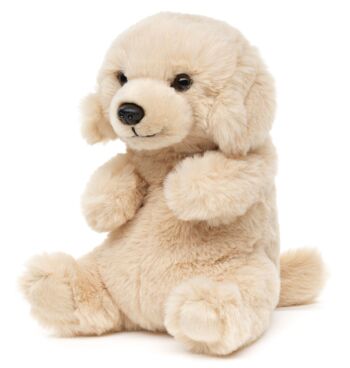 Labrador, assis - Style Kawaii - 17 cm (hauteur) - Mots clés : chien, animal de compagnie, peluche, peluche, peluche, peluche 2