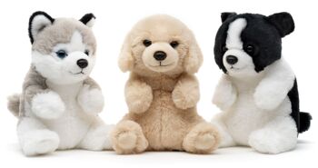 Labrador, assis - Style Kawaii - 17 cm (hauteur) - Mots clés : chien, animal de compagnie, peluche, peluche, peluche, peluche 5