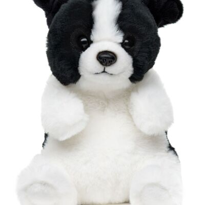 Border Collie, sitting - Kawaii style - 17 cm (height) - Keywords: dog, pet, plush, soft toy, stuffed toy, cuddly toy
