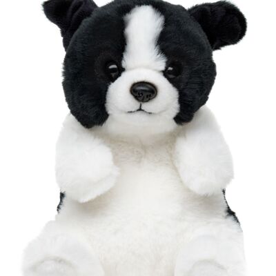 Border Collie, sitting - Kawaii style - 17 cm (height) - Keywords: dog, pet, plush, soft toy, stuffed toy, cuddly toy