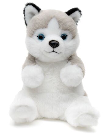 Husky, assis - Style Kawaii - 17 cm (hauteur) - Mots clés : chien, animal de compagnie, peluche, peluche, peluche, peluche 1