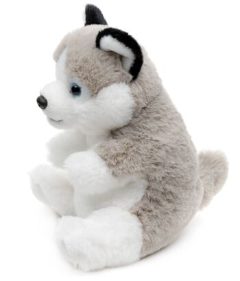 Husky, assis - Style Kawaii - 17 cm (hauteur) - Mots clés : chien, animal de compagnie, peluche, peluche, peluche, peluche 2
