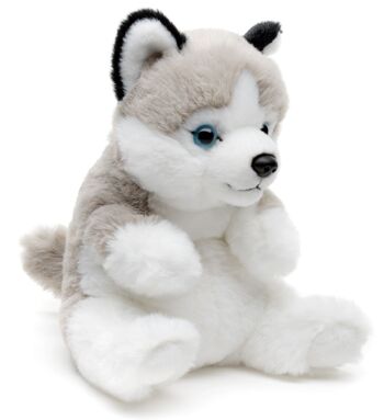 Husky, assis - Style Kawaii - 17 cm (hauteur) - Mots clés : chien, animal de compagnie, peluche, peluche, peluche, peluche 5