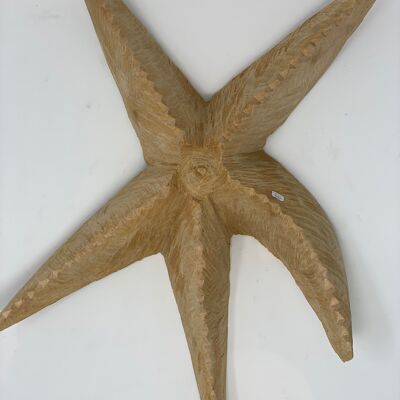 Swazi Starfish