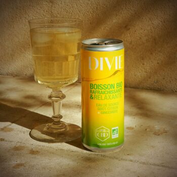 DIVIE Boisson Bio rafraîchissante et relaxante- Eau de source- Citron Gingembre- canette de 250 ml 4