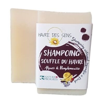 CHAMPÚ SÓLIDO DE AVELLANA Y POMELO ALGAS