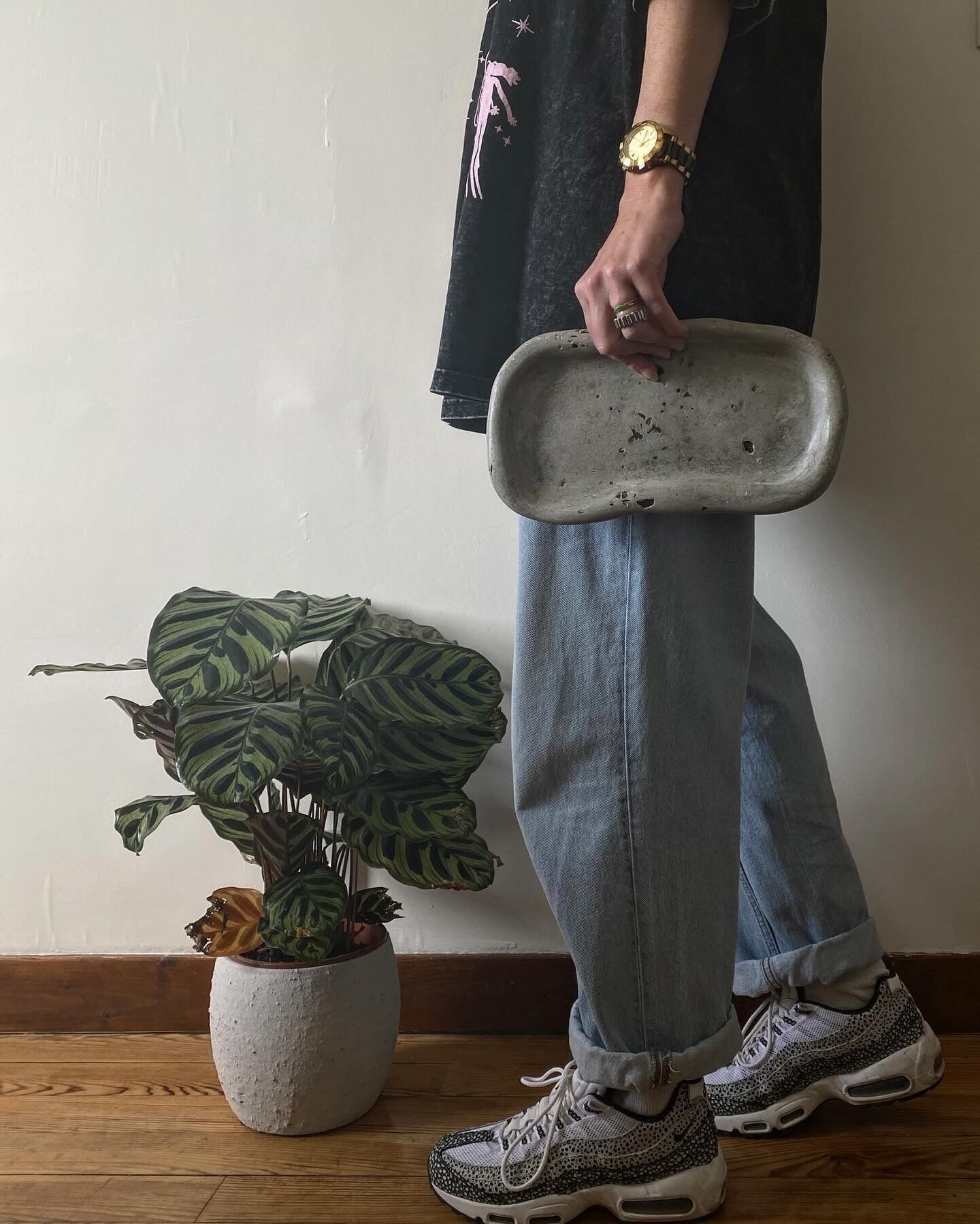 Vassoio Antares biologico grande