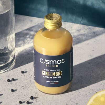 Cosmos Elixir - Large format Ginger concentrate with spices