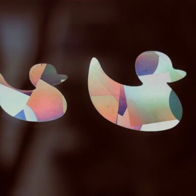 Window sticker set ducks with prismatic effect