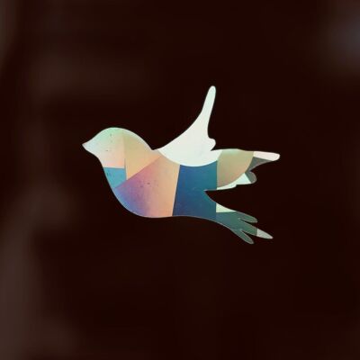 Swallow window sticker with prismatic effect
