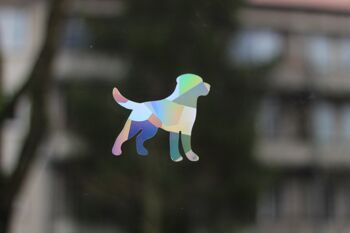 Sticker pour fenêtre Labrador avec effet prismatique 6