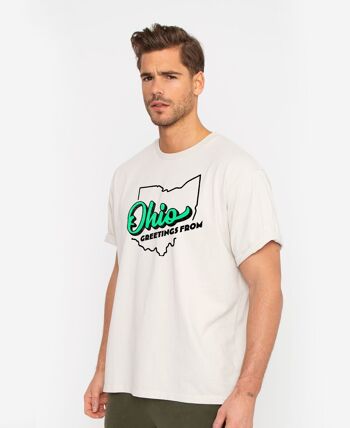 T-shirts Ohio délavés White French Disorder pour hommes 1