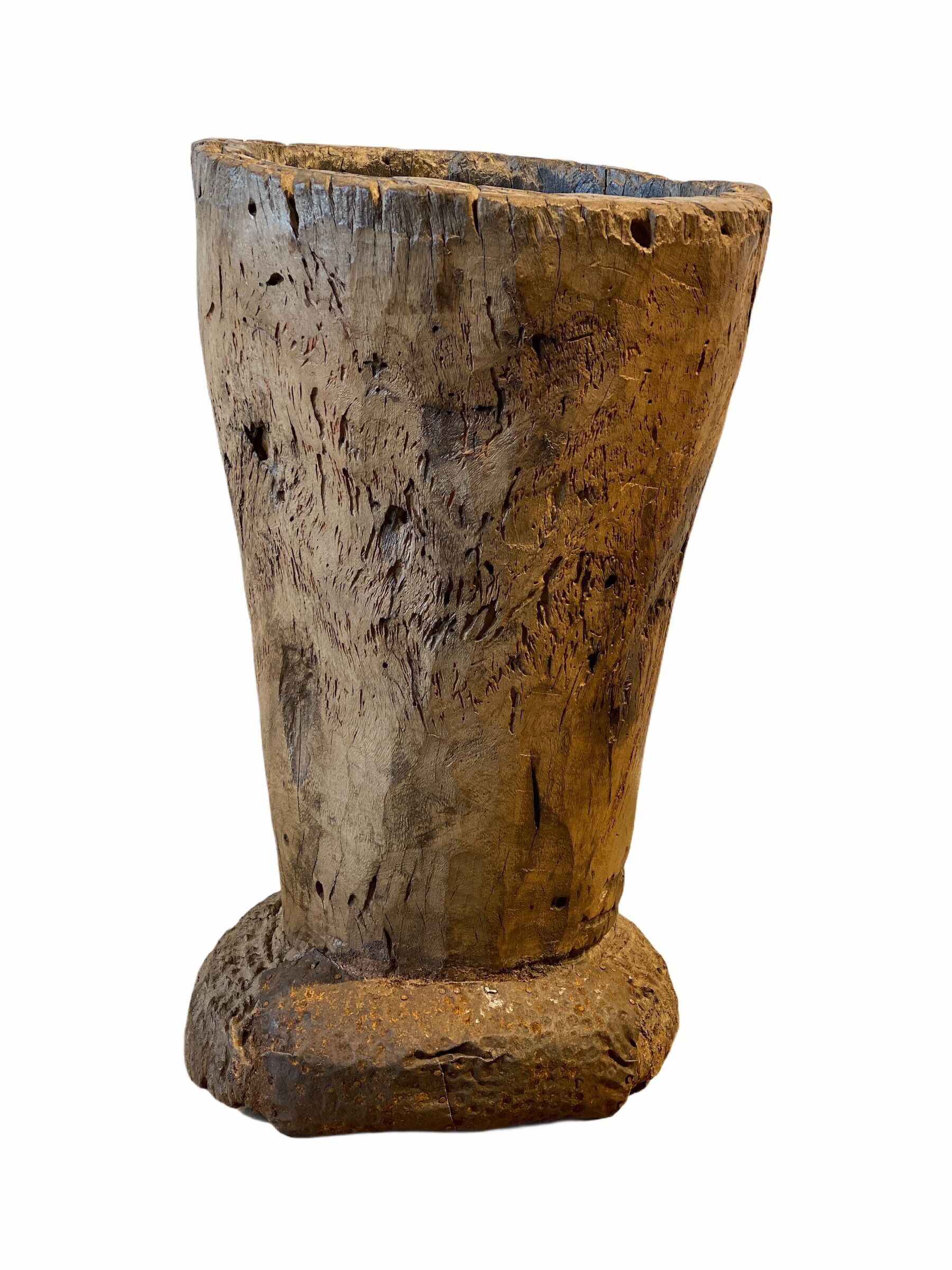 Pisoteador de grano africano