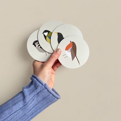 Coasters birds