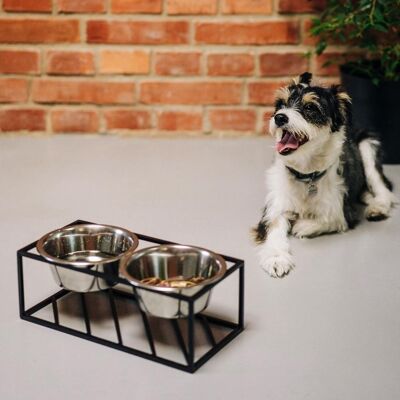 Elevated Lunch Bowl Set