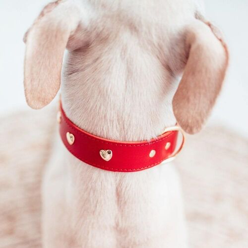 Heart Collar