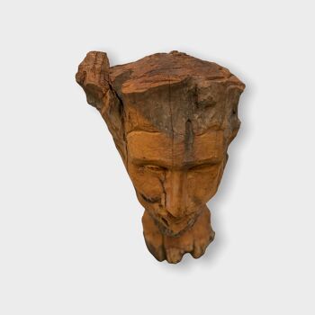 Tête sculptée à la main - Zimbabwe - grande (152.3) 5