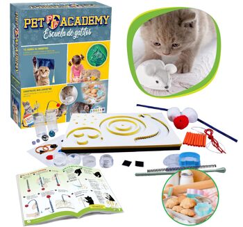 ACADÉMIE ANIMALE, ÉCOLE DE CHATONS 1