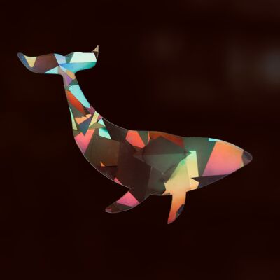 Vetrofania grande balena con effetto prismatico